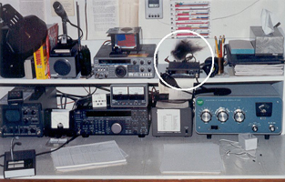 W0ZUX lightning damage